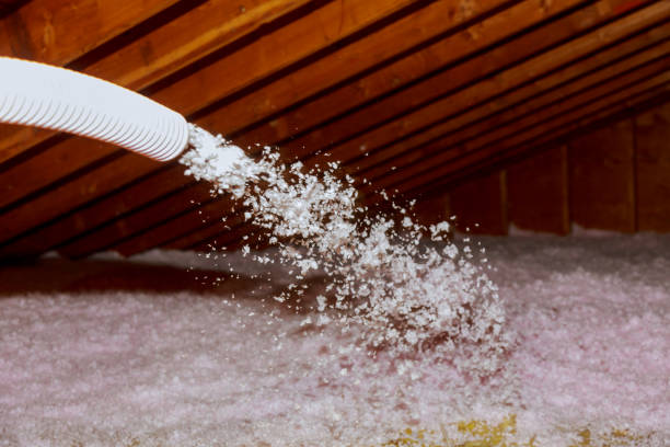 Best Fiberglass Insulation in Santa Anna, TX