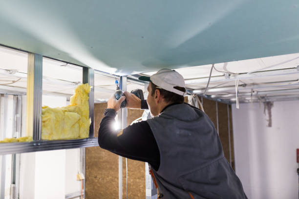 Best Cellulose Insulation in Santa Anna, TX