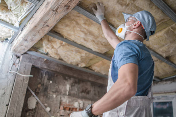 Best DIY Insulation Kits and Guidance in Santa Anna, TX